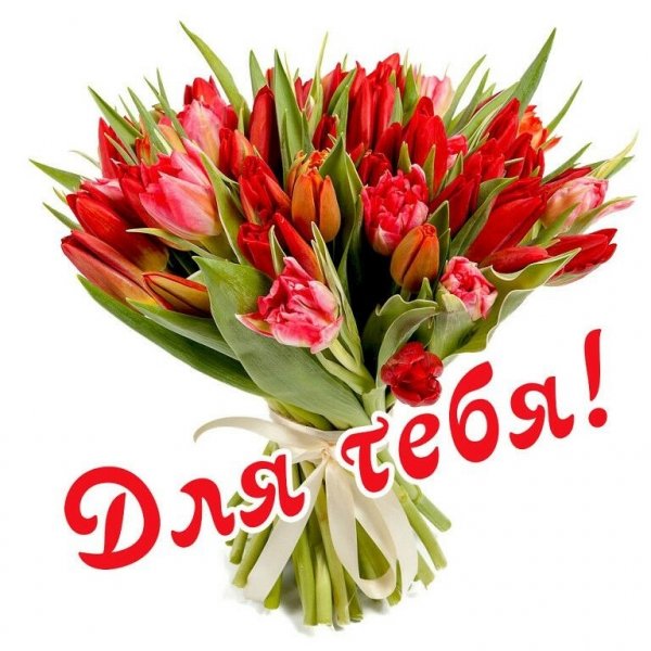 IMG 20190209 232156
