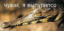 боян первый выпуск