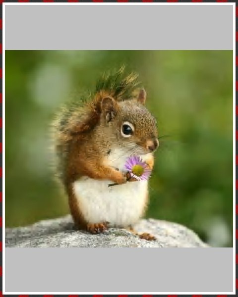 Photo Editor 18 05 2016 23 37 09