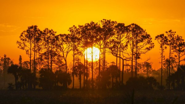 Sunset sun trees 163871 1920x1080