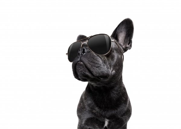 Shutterstock 712267390