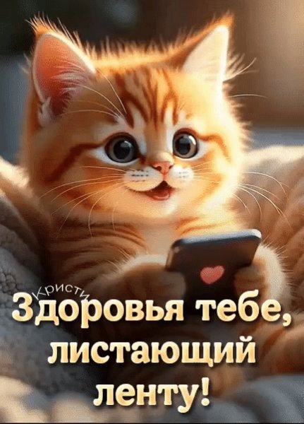 IMG 20260119 171424