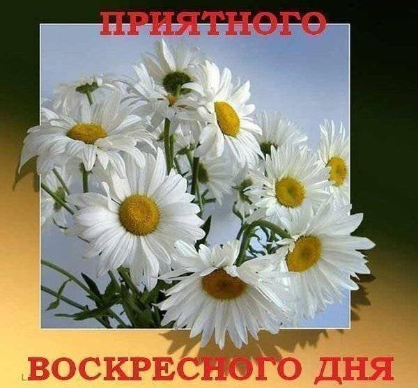 IMG 20190728 184076