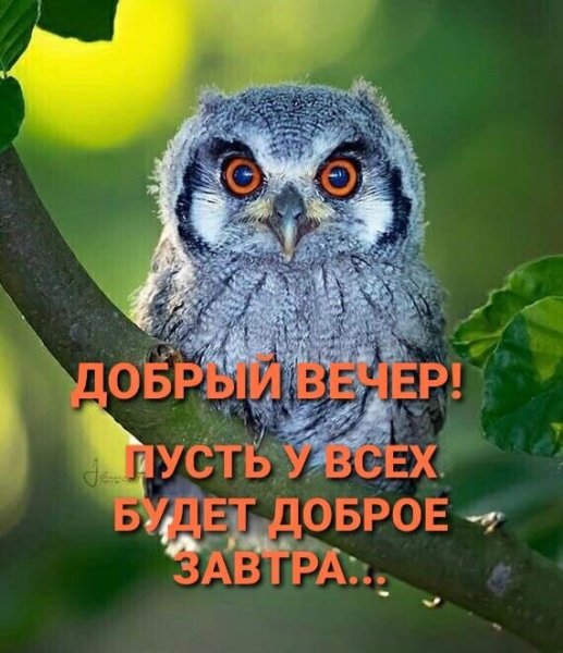 file_90868192