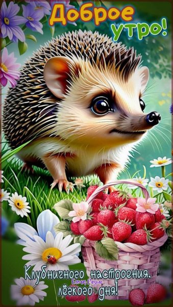 Доброе утро