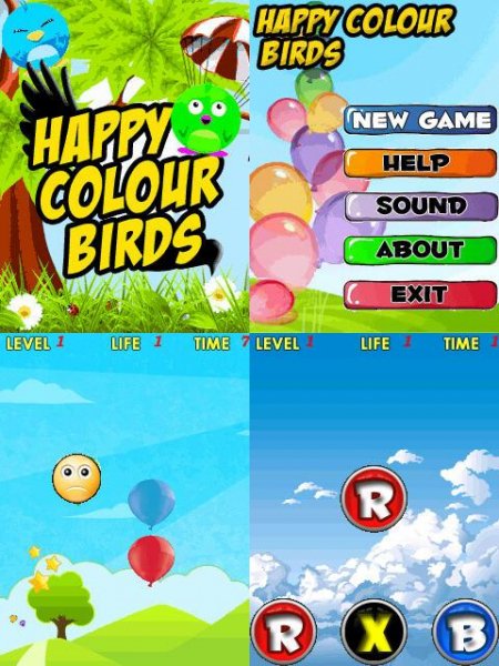 Happy Colour Birds