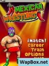Mexican Wrestling
