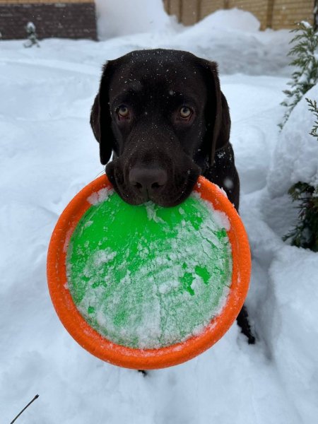 8VFESFRDTFGGCDFGCBVD