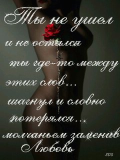 Cropped0077