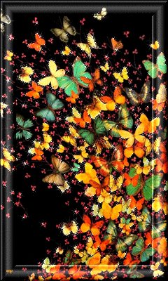 РАЗНОЦВЕТНЫЕ БАБОЧКИ