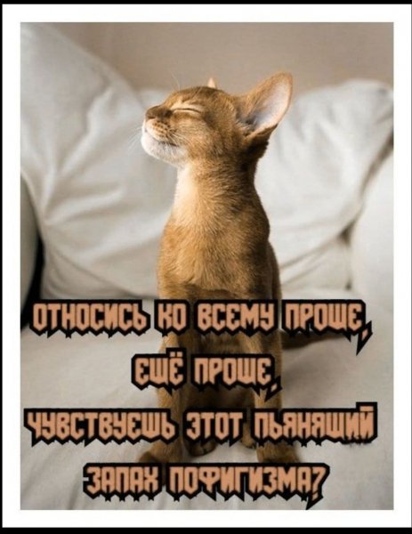 FB IMG 1776810281024