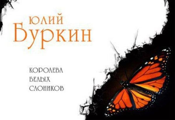 burkin yulii koroleva belych slonikov