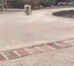 пёсик
