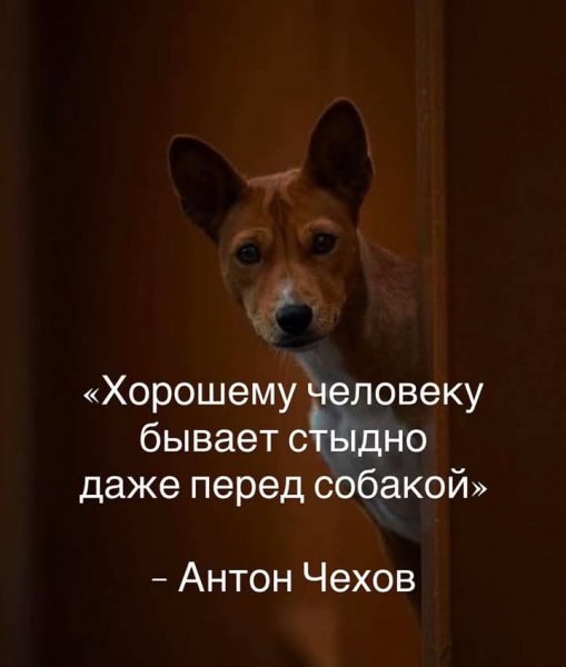 FB IMG 1775410898341