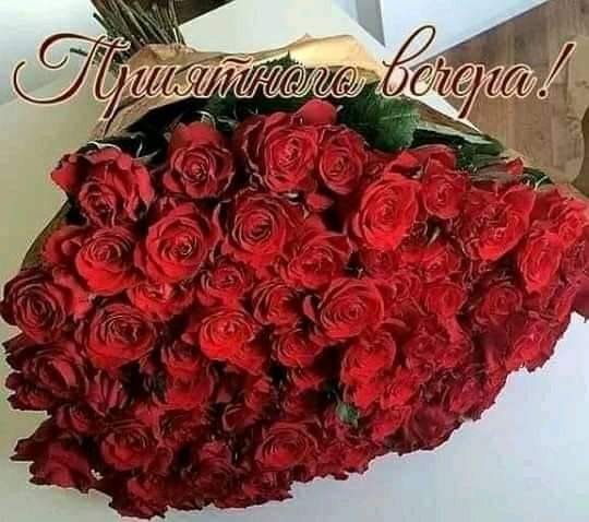 KN2vh h-5qA