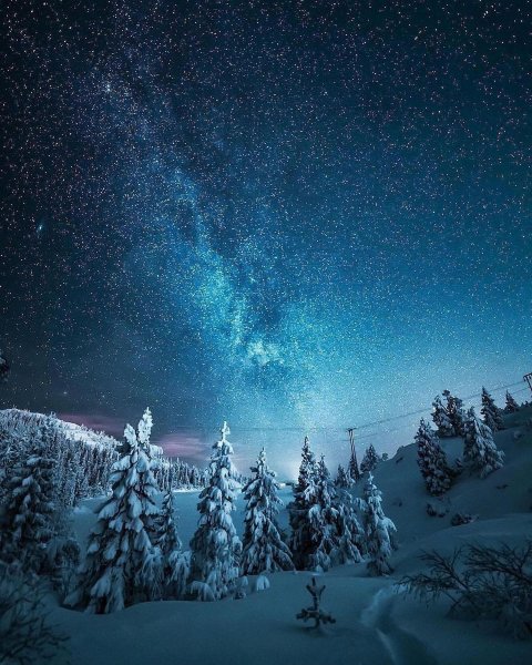 file_95134590