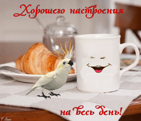 IMG 20190904 155533