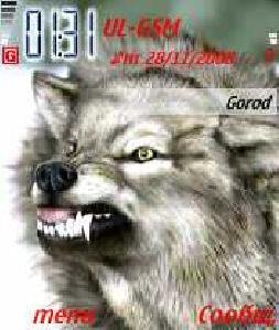Wolf