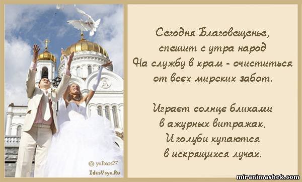 file_81089696