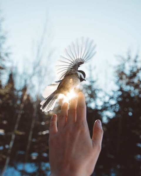 file_95631666