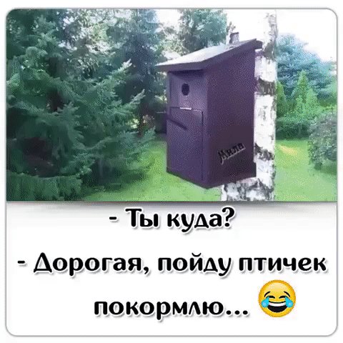 Ты куда???