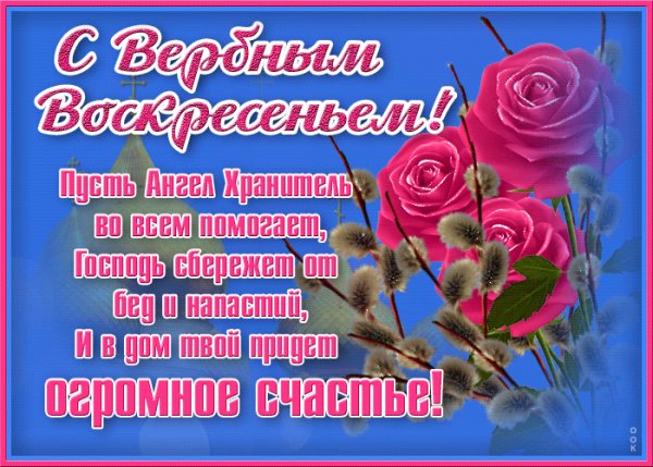 Верба 021012