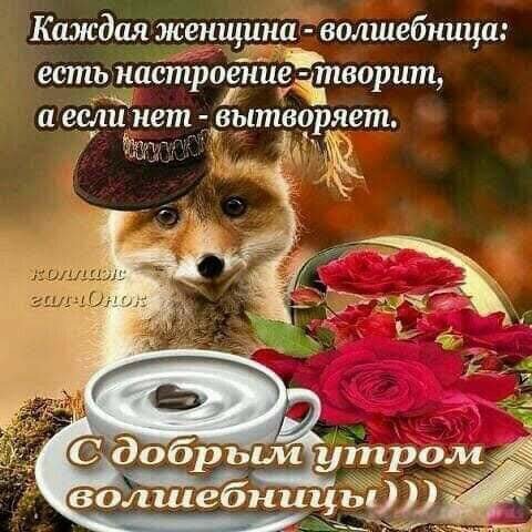 IMG 20181216 063497