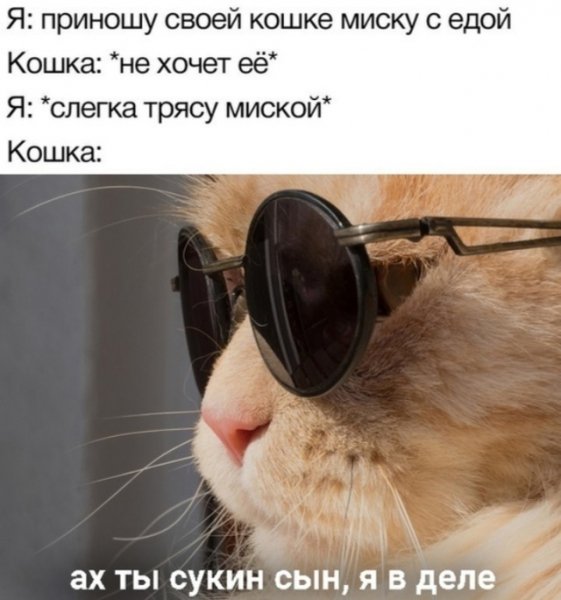 file_100326861