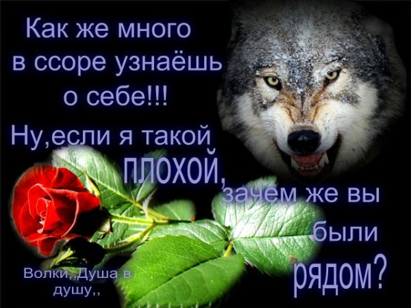 Вопрос