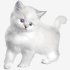 Котенок