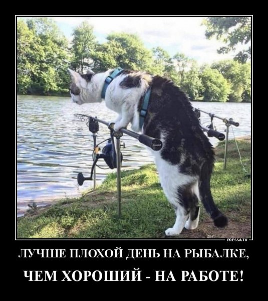 рыбалка