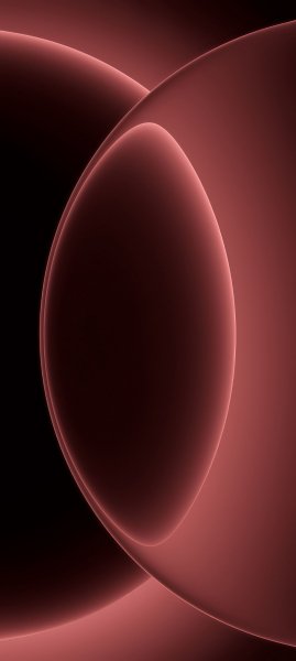 adapted 1080x2408 1771795079