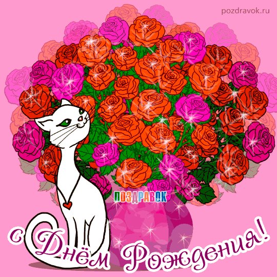 den-rozhdeniya-otkrytka-roza-kotik-pozdravok