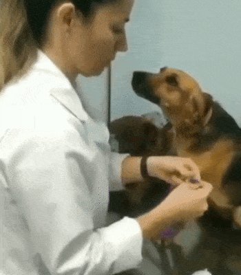 Полное доверие