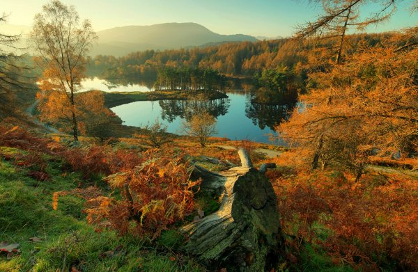 England Autumn Rivers 505172