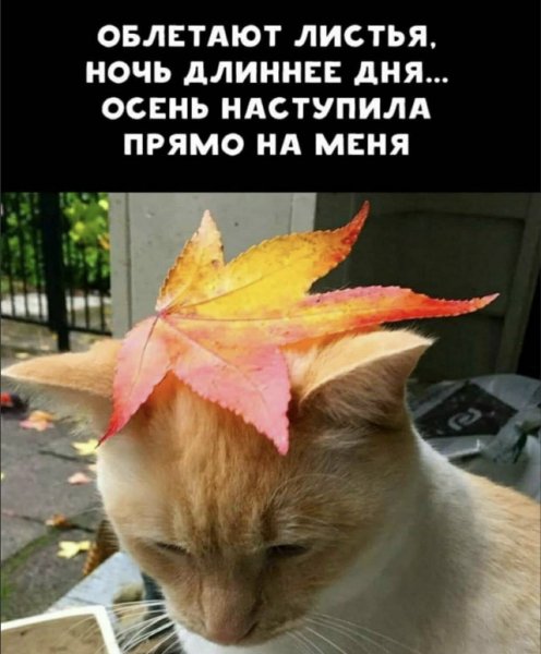 file_103346146