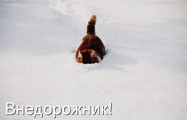 IMG 20231203 220717
