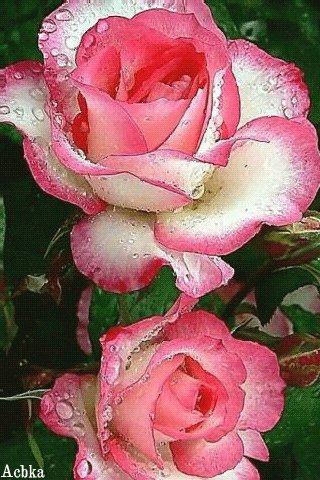 file_93138021