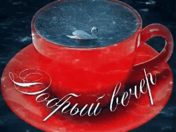 добрый вечер 084024