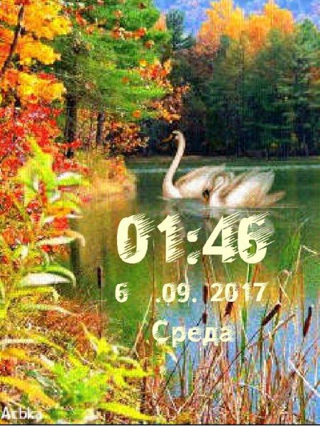 Осенние лебеди