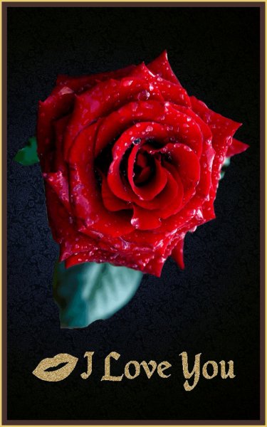 Роза в рамке ILY