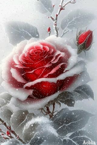 file_94944540