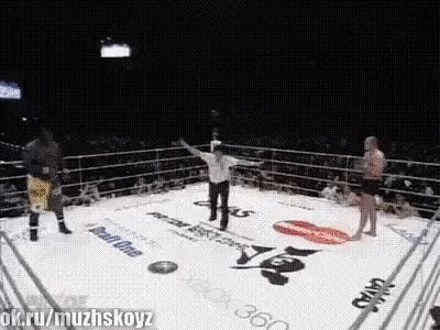 Емельяненко красава