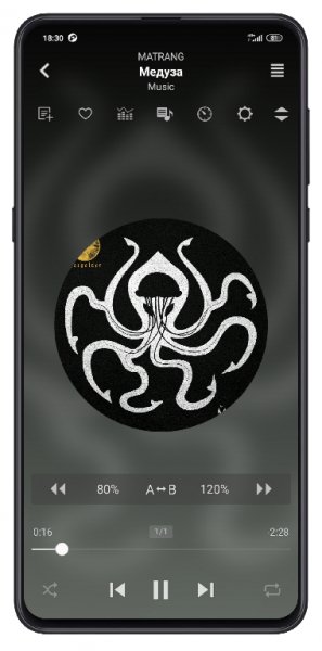 jetAudio Plus v10.1.0 arm64