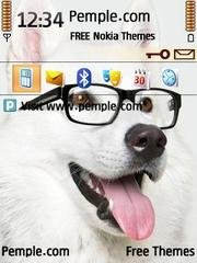 White Dog In Glasses