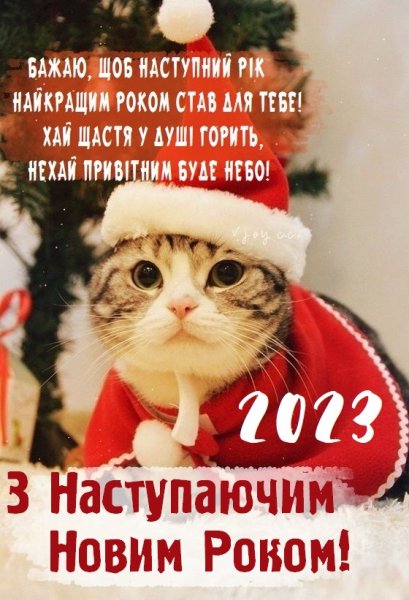 5bf6dfff338253ad3d3c3eb3921ff752