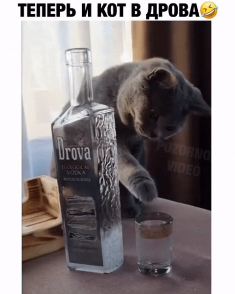 IMG 20210404 072600