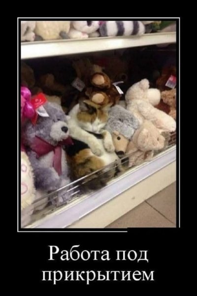 FB IMG 1776446861518