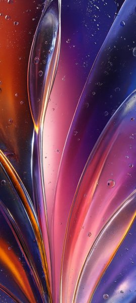 adapted 1080x2408 1769142770
