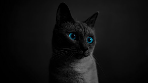 IMG 20231112 034416